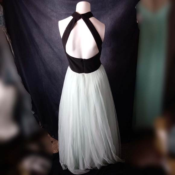 Blondie nites Prom gown - Picture 5 of 5